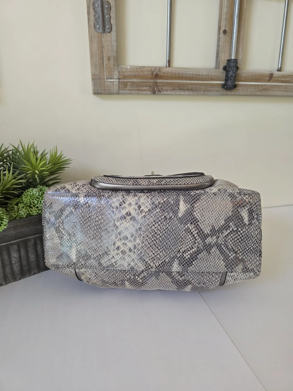 Coach Campbell  Embossed Leather Large Satchel Wallet Set Neutral Snakeskin